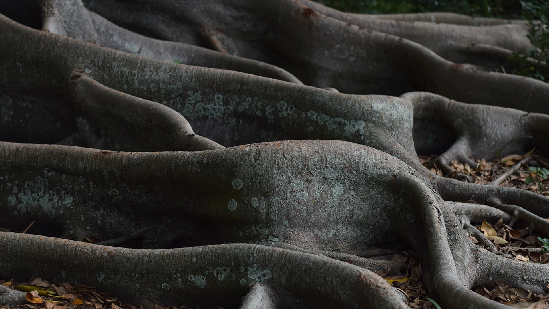 Produits structurés et compétences en dérivés OTC