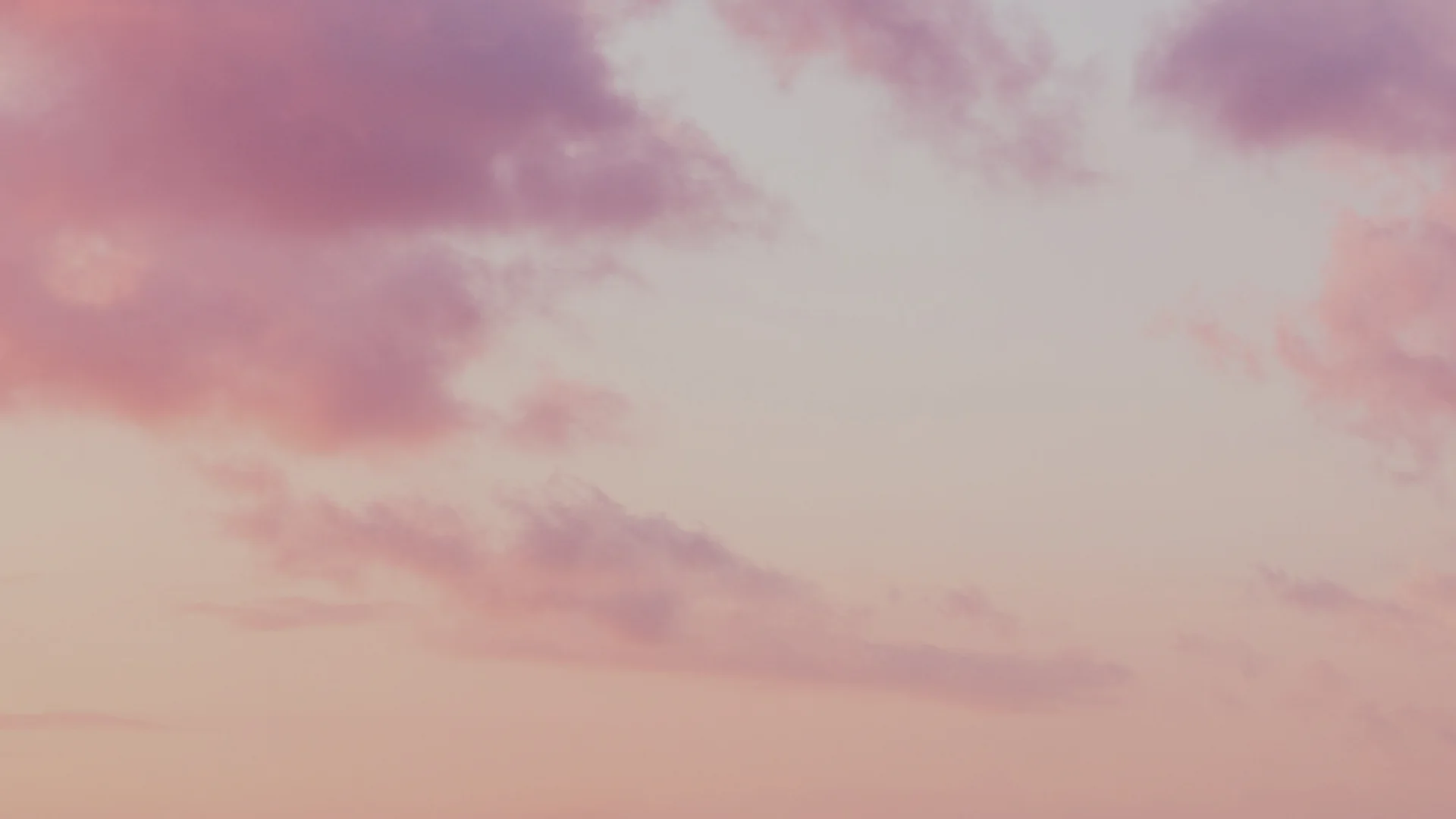 Single Family Office