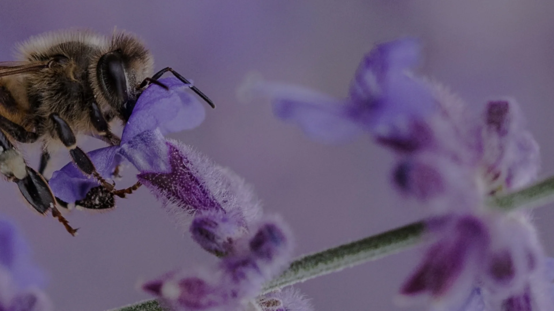 Conseil en banque privée pour particuliers