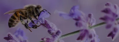 Conseil en banque privée pour particuliers