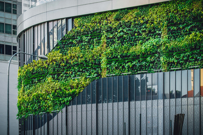 Defining an authentic sustainability strategy