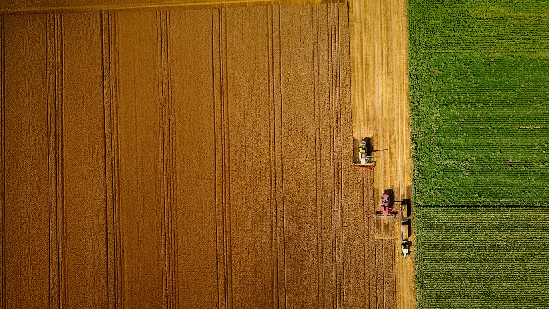 Récolter les bénéfices