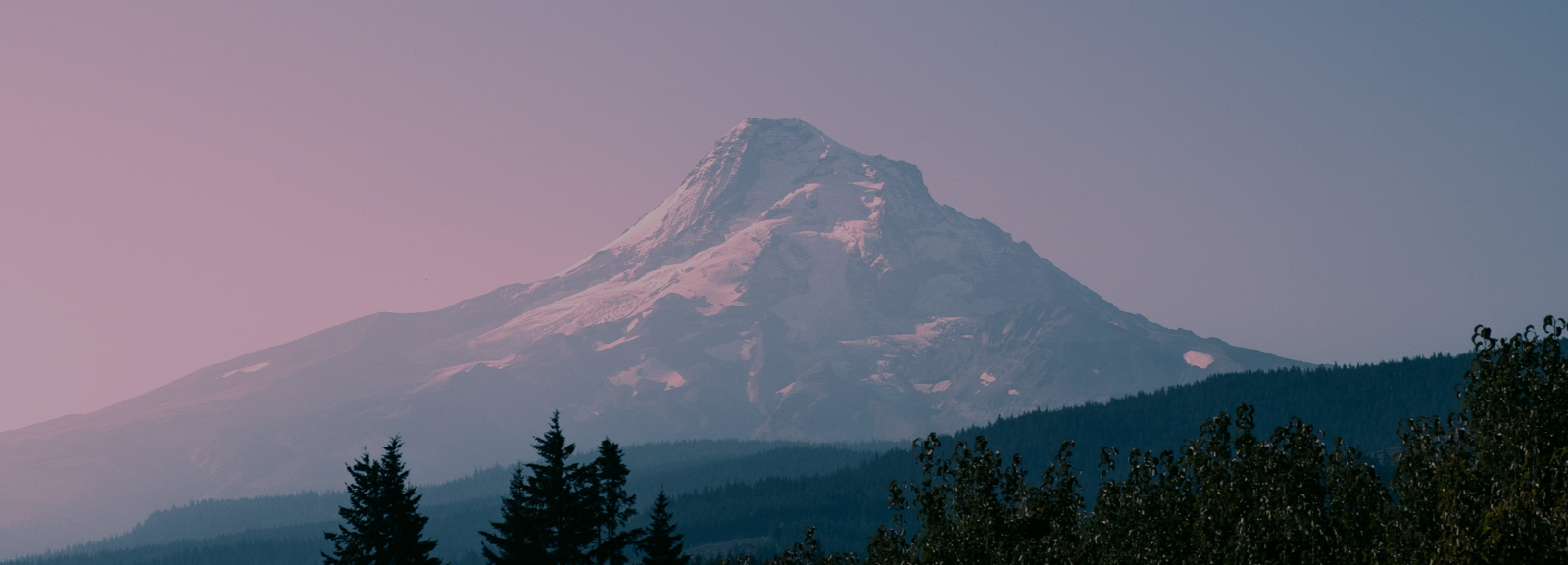 Planification & structuration du patrimoine