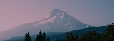 Wealth planning & structuring