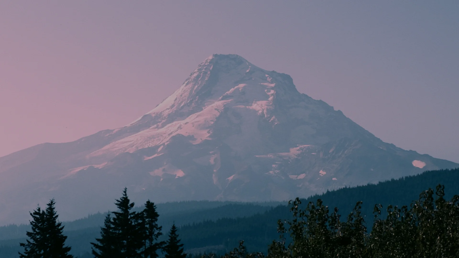 Planification & structuration du patrimoine