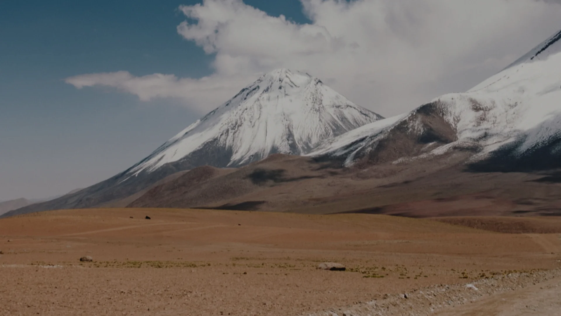 Private Label Solutions