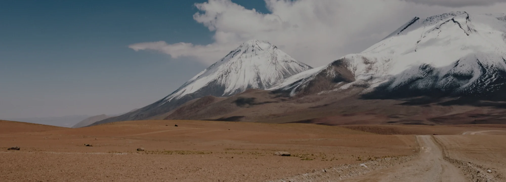 Private Label Solutions