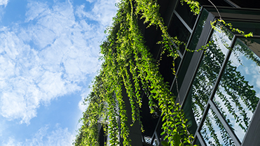 A culture of sustainability