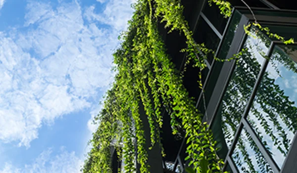 A culture of sustainability