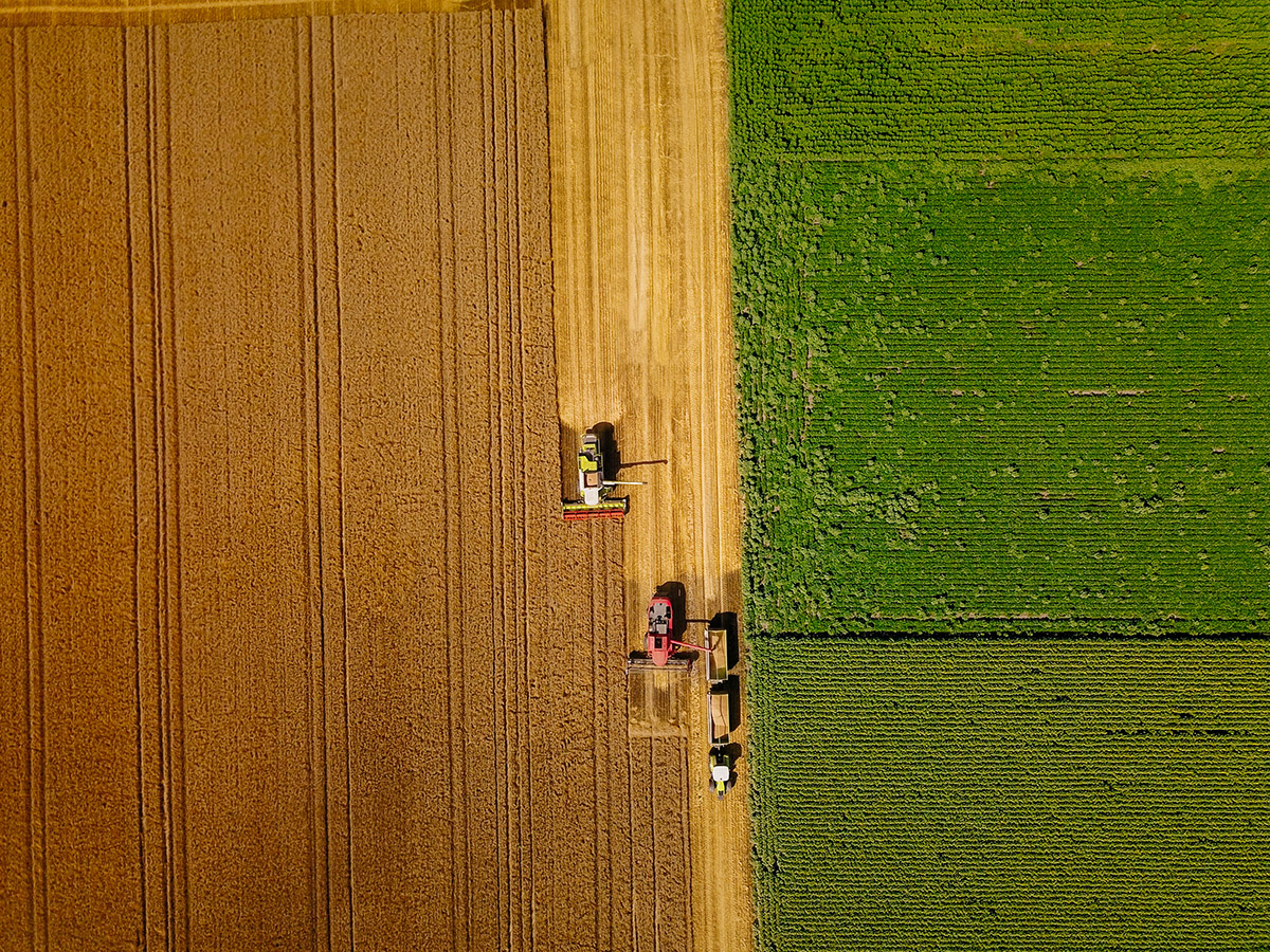 Harvesting profits  – Counterpoint September 2025