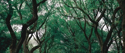 Sustainability-related disclosures