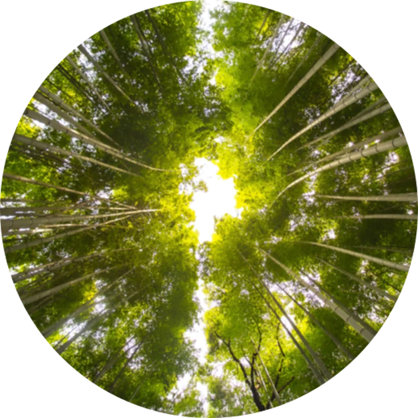 Importance des critères ESG