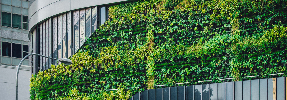 Defining an authentic sustainability strategy