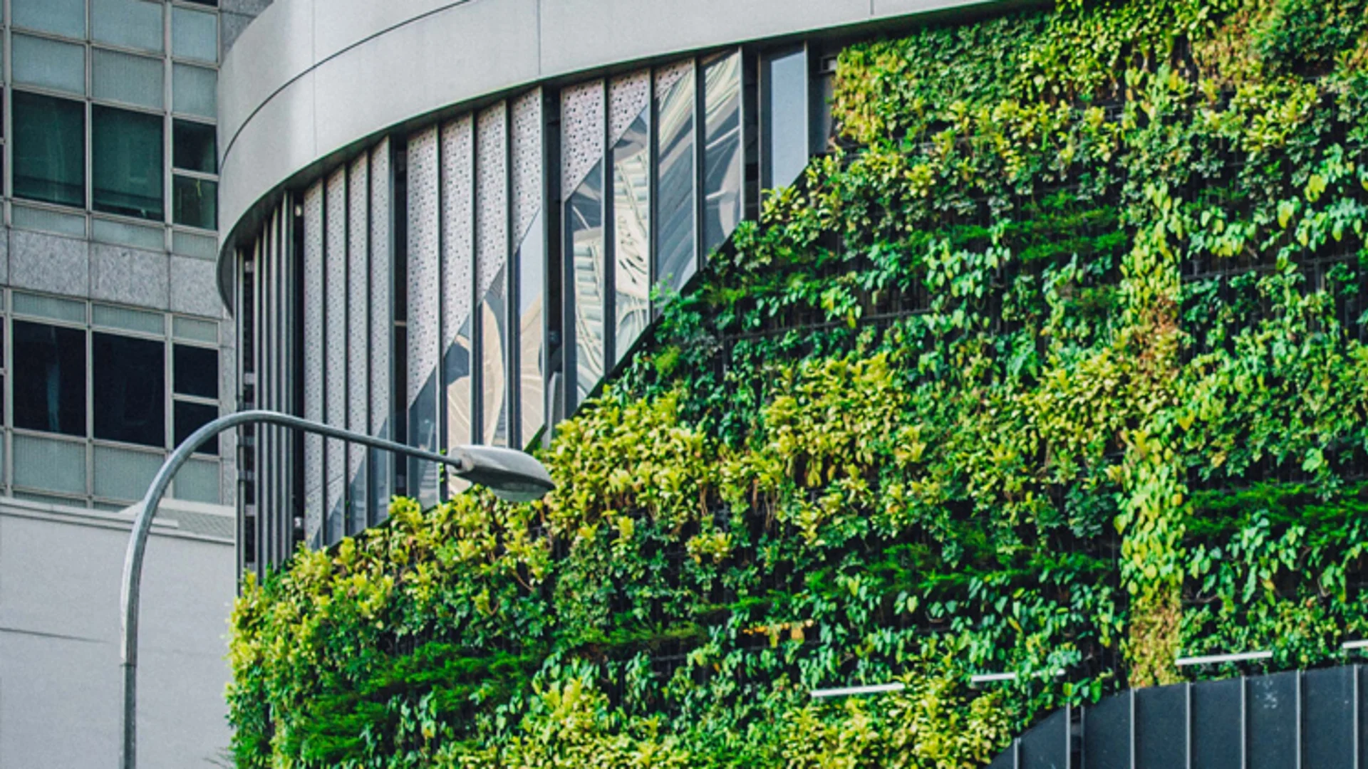 Defining an authentic sustainability strategy