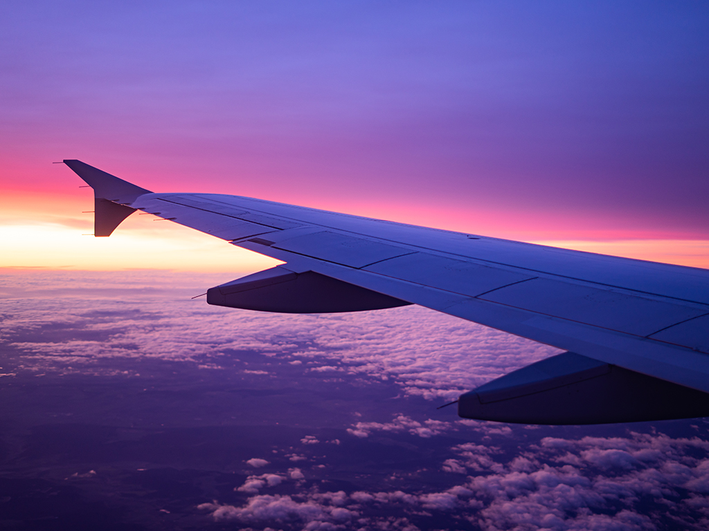 Flight Night