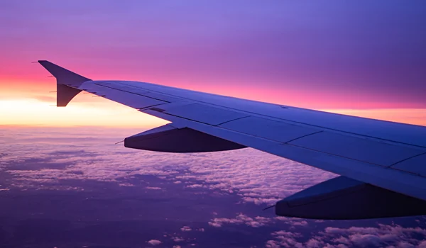 Flight Night