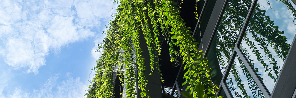 A culture of sustainability