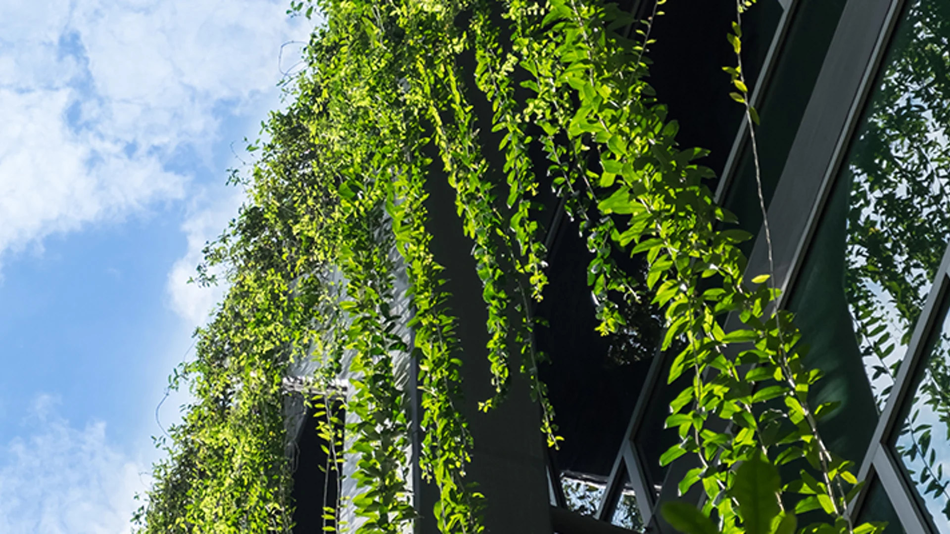 A culture of sustainability