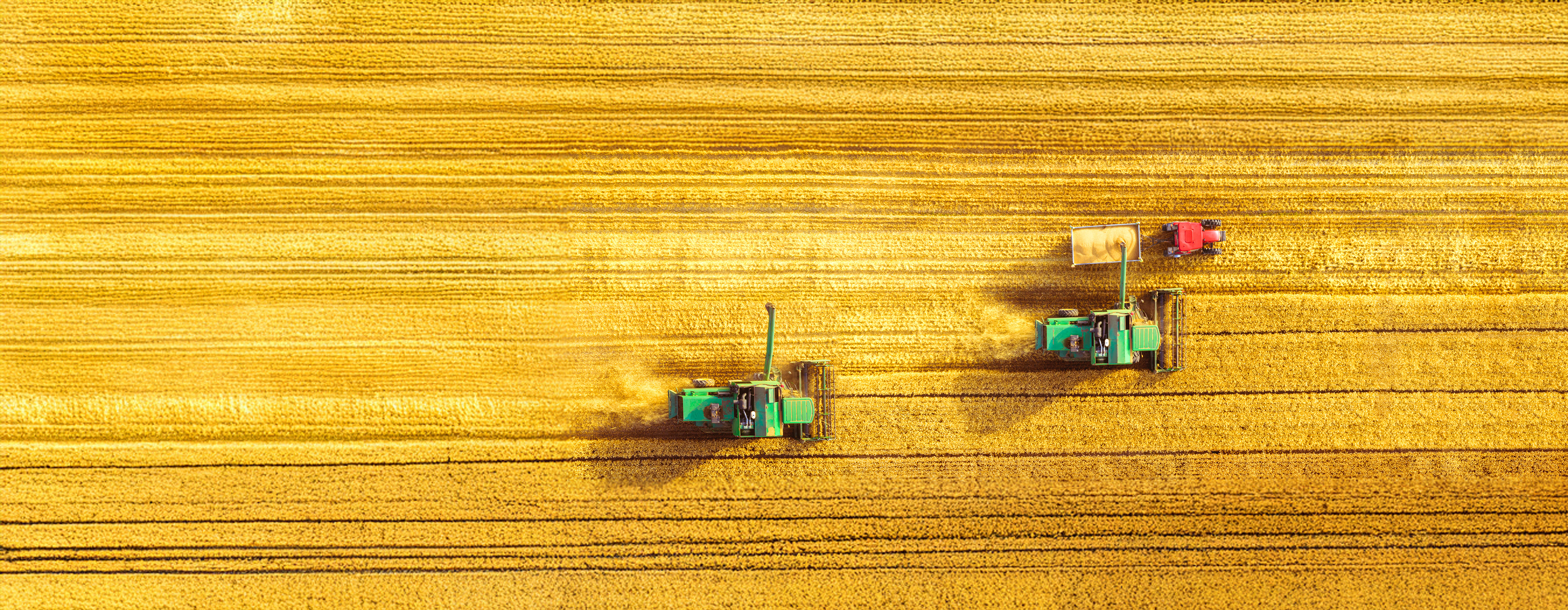 Récolter les bénéfices  – Counterpoint September 2025